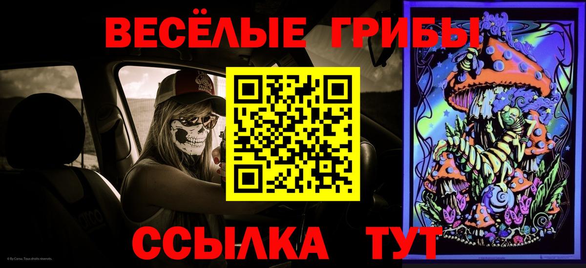 Галлюциногенные грибы Cubensis Лабинск